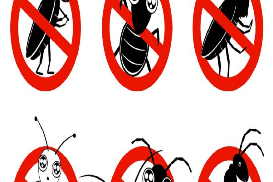 Pest Control Contracts