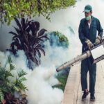 Pest Issues in Horizon West: Factors, Risks, & More