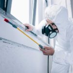 Why Do Wasps And Hornets Love The Eaves Of Your Missouri Springs Home?